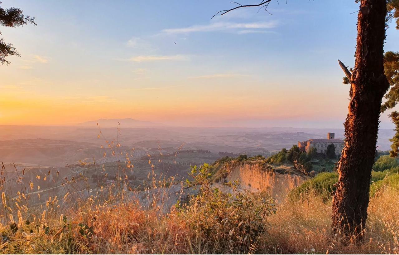 Il Sogno Di Annalisa Il Nido Lejlighed Volterra Eksteriør billede